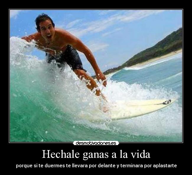 carteles vida vida desmotivaciones