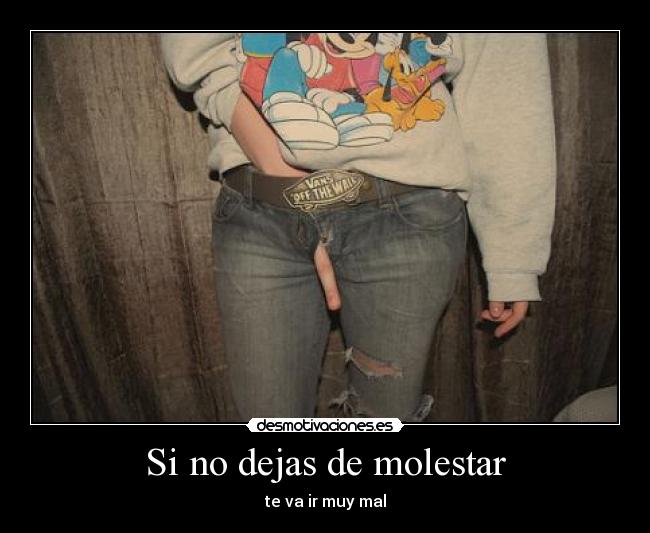 carteles dejas molestar muy mal perra golfa tarada retrasada desmotivaciones