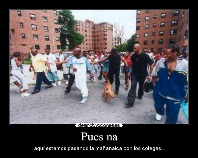 Pues na - aquí estamos pasando la mañanaica con los colegas...