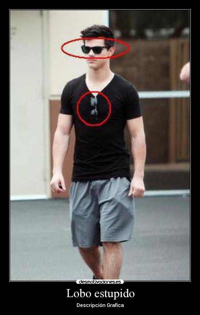 Lobo estupido - Descripción Grafica