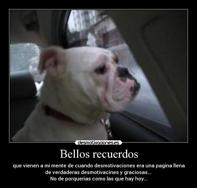 Bellos recuerdos - que vienen a mi mente de cuando desmotivaciones era una pagina llena
de verdaderas desmotivacines y graciosas...
No de porquerias como las que hay hoy...