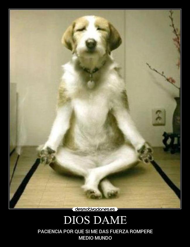 DIOS DAME -