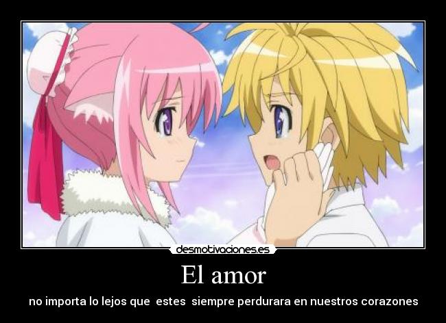 El amor -