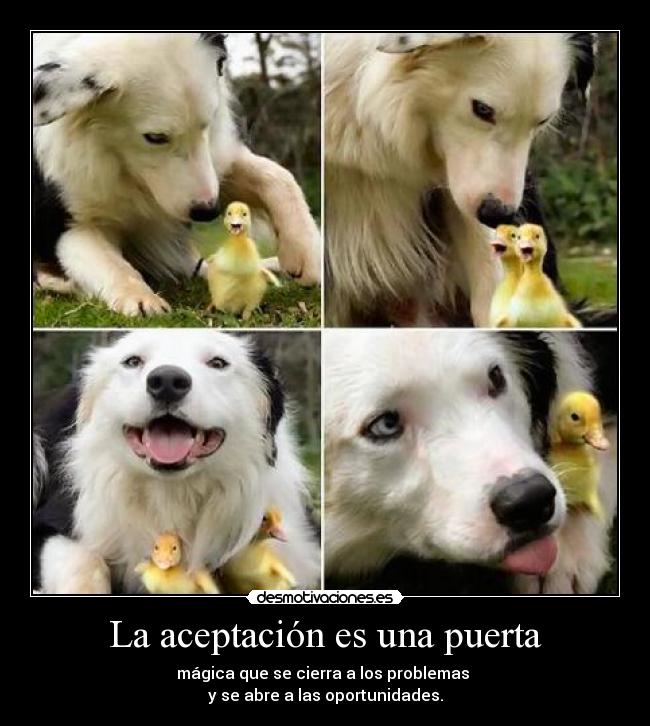 carteles rafael hernam perez desmotivaciones