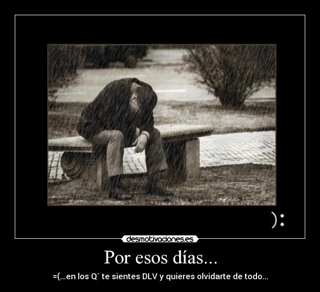 carteles carmay munive desmotivaciones