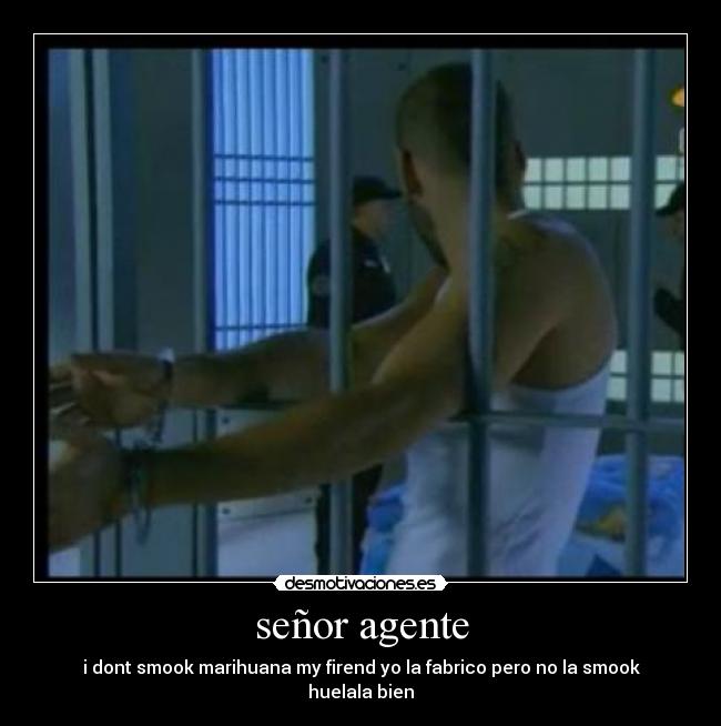 señor agente - i dont smook marihuana my firend yo la fabrico pero no la smook huelala bien