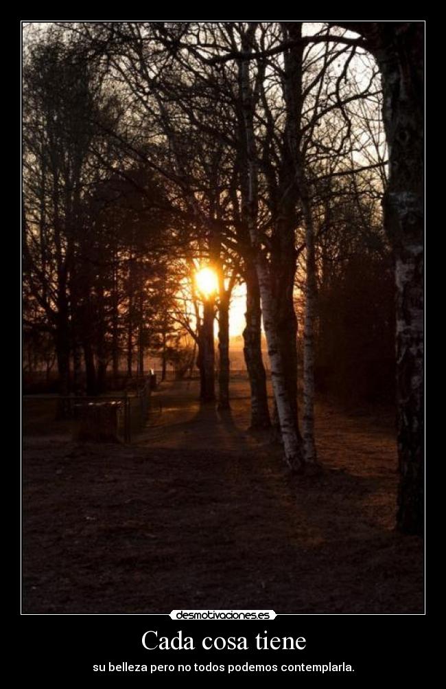 Cada cosa tiene -