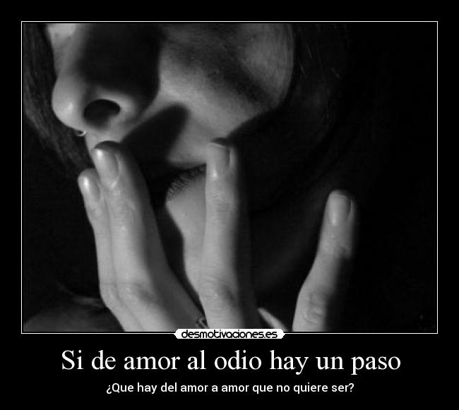 Si de amor al odio hay un paso - ¿Que hay del amor a amor que no quiere ser?