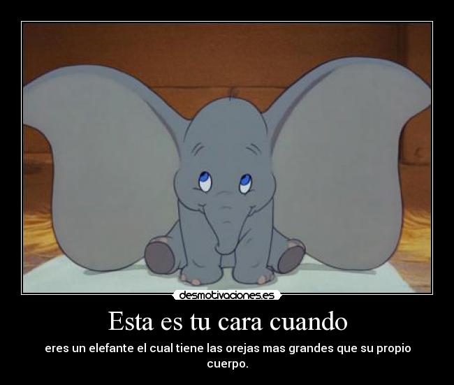 Esta es tu cara cuando - eres un elefante el cual tiene las orejas mas grandes que su propio cuerpo.