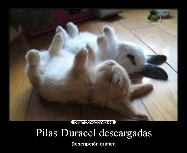 carteles ironico desmotivaciones