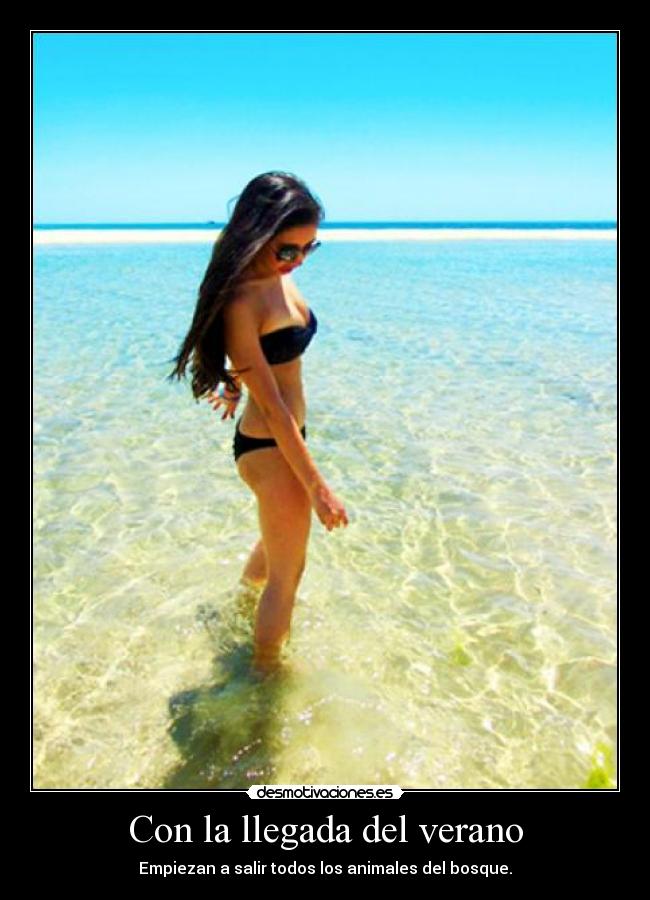 Con la llegada del verano - Empiezan a salir todos los animales del bosque.