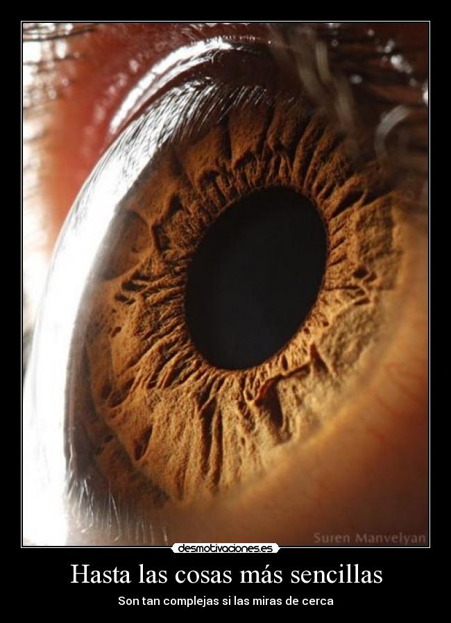 Hasta las cosas más sencillas -