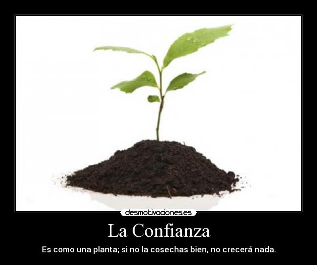 La Confianza - 
