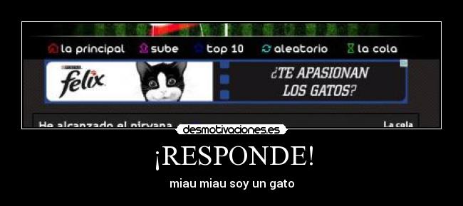 ¡RESPONDE! - miau miau soy un gato
