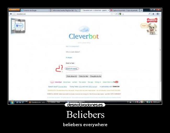 Beliebers - beliebers everywhere