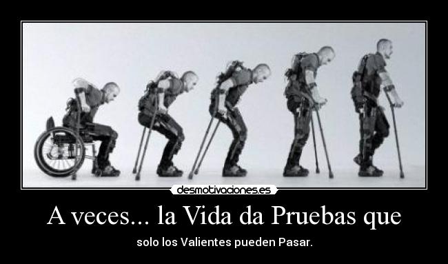 carteles vida sophiepawsup desmotivaciones