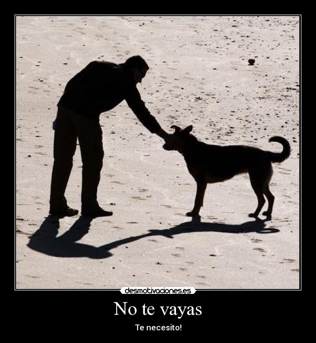 No te vayas - Te necesito!