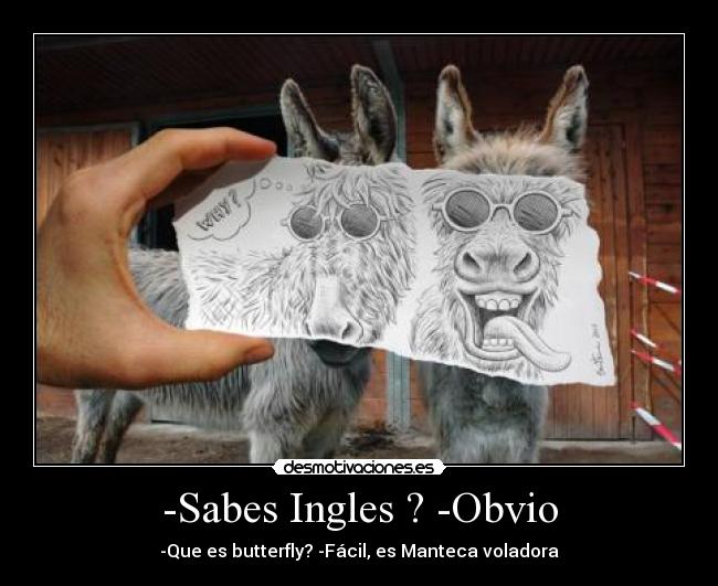 -Sabes Ingles ? -Obvio -