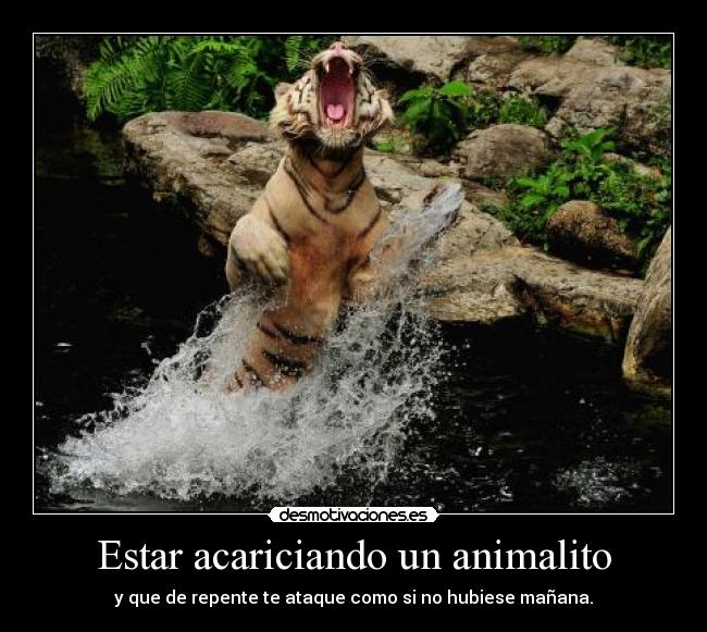 Estar acariciando un animalito - y que de repente te ataque como si no hubiese mañana.