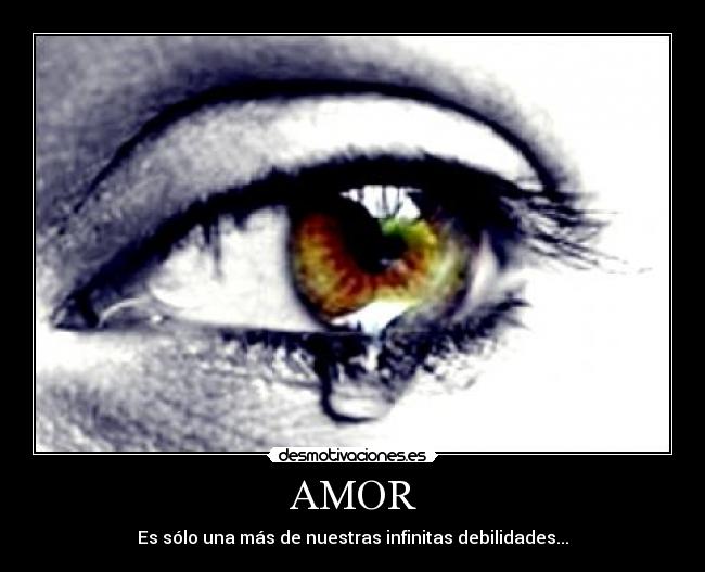 AMOR -