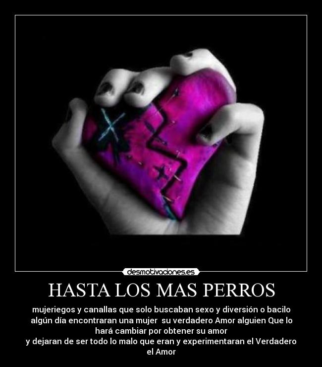 HASTA LOS MAS PERROS - mujeriegos y canallas que solo buscaban sexo y diversión o bacilo
algún día encontraran una mujer su verdadero Amor alguien Que lo
hará cambiar por obtener su amor
y dejaran de ser todo lo malo que eran y experimentaran el Verdadero
el Amor