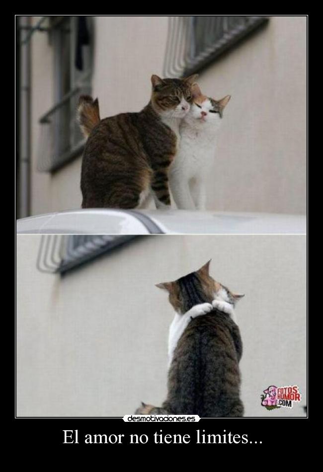 El amor no tiene limites... -