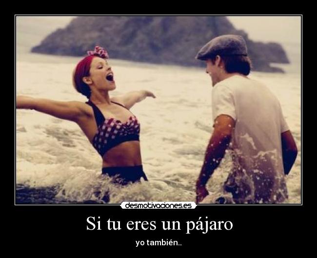 Si tu eres un pájaro - yo también..