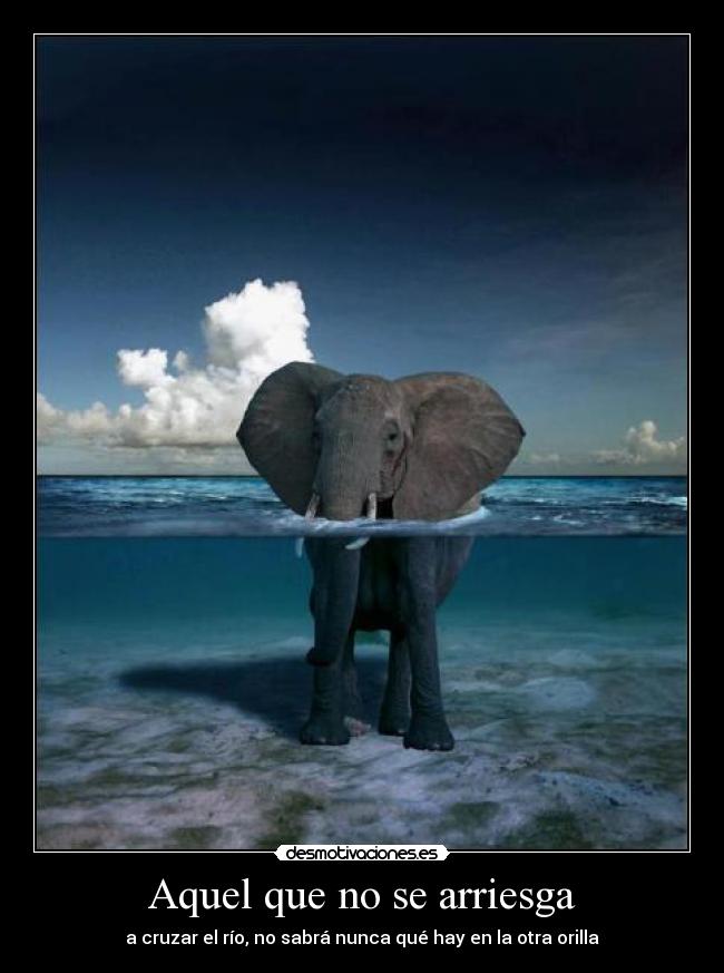 Aquel que no se arriesga - a cruzar el río, no sabrá nunca qué hay en la otra orilla