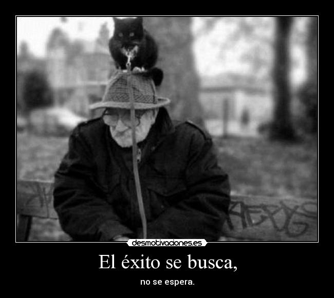 El éxito se busca, - 