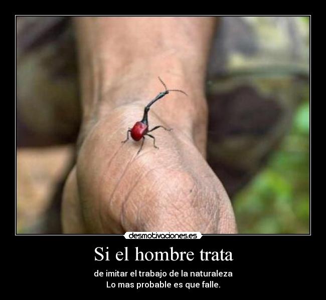 Si el hombre trata -