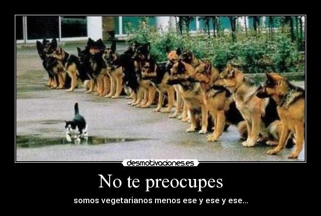 No te preocupes - somos vegetarianos menos ese y ese y ese...