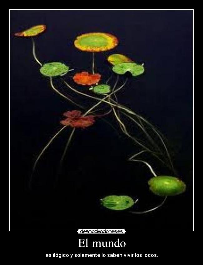 El mundo - es ilógico y solamente lo saben vivir los locos.