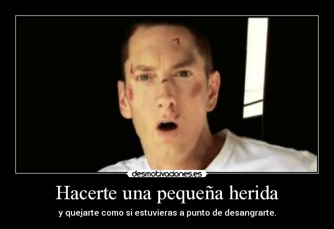 carteles eminem rules intruders fedeminemmola silsomathers clandalfe15 dep manolo preciado desmotivaciones