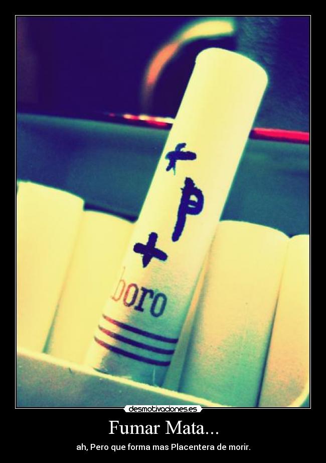 carteles fumar cigarrillo morir dulce manjar los dioses desmotivaciones