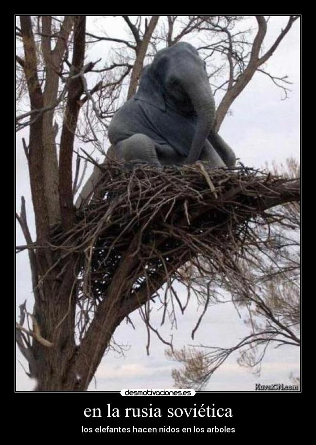 en la rusia soviética -