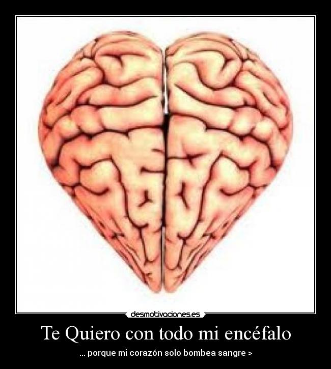 carteles verdadera confesion amor desmotivaciones