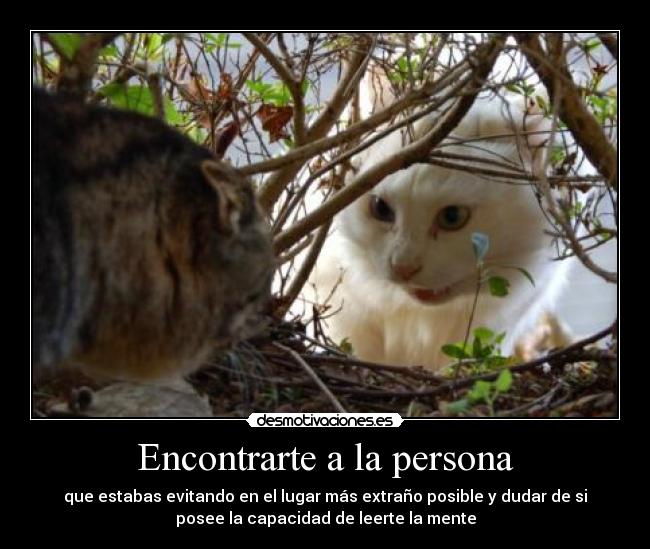 Encontrarte a la persona - que estabas evitando en el lugar más extraño posible y dudar de si
posee la capacidad de leerte la mente