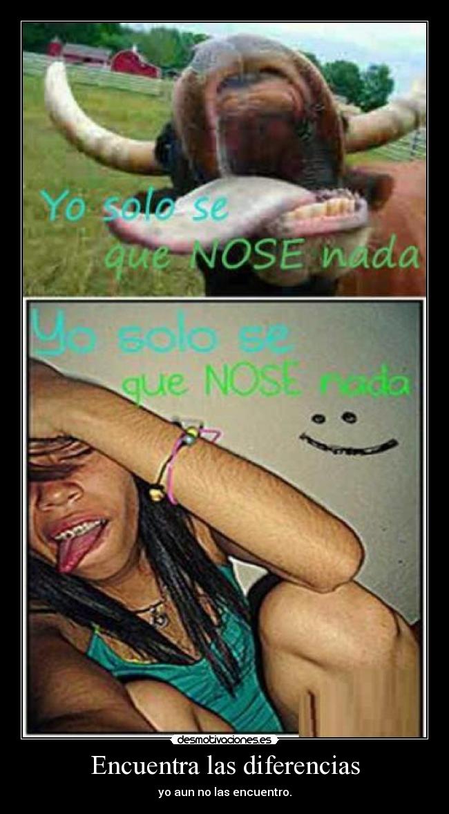 carteles xdddddddddddddddddddddd desmotivaciones