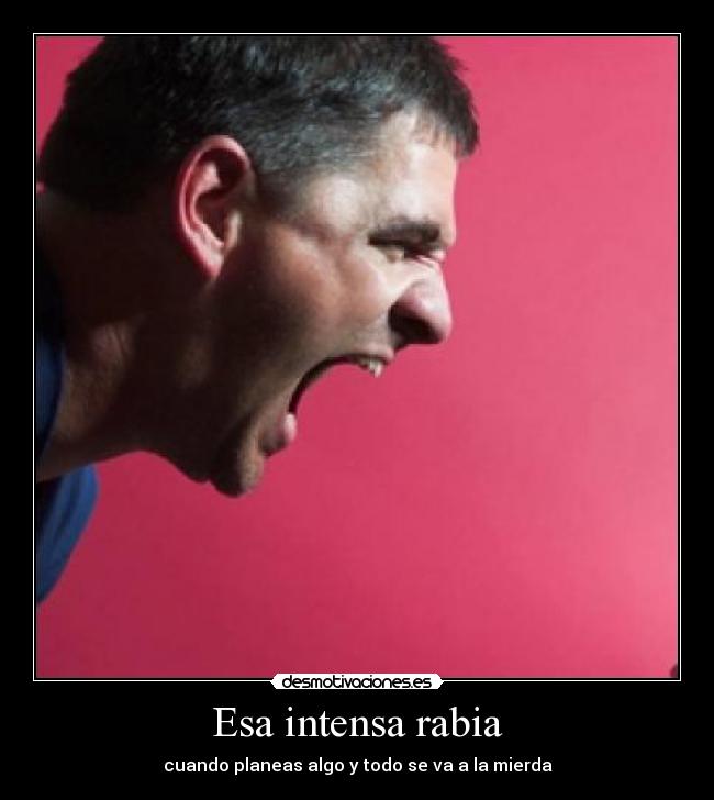 Esa intensa rabia - cuando planeas algo y todo se va a la mierda