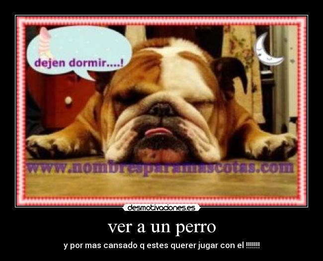 carteles long desmotivaciones