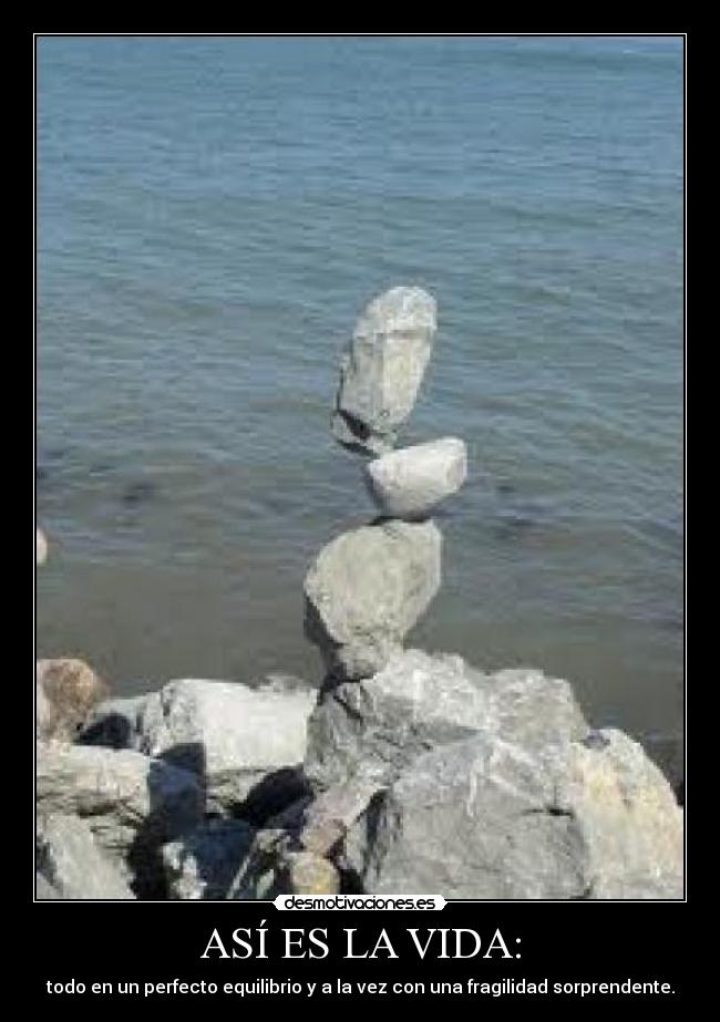 ASÍ ES LA VIDA: - todo en un perfecto equilibrio y a la vez con una fragilidad sorprendente.