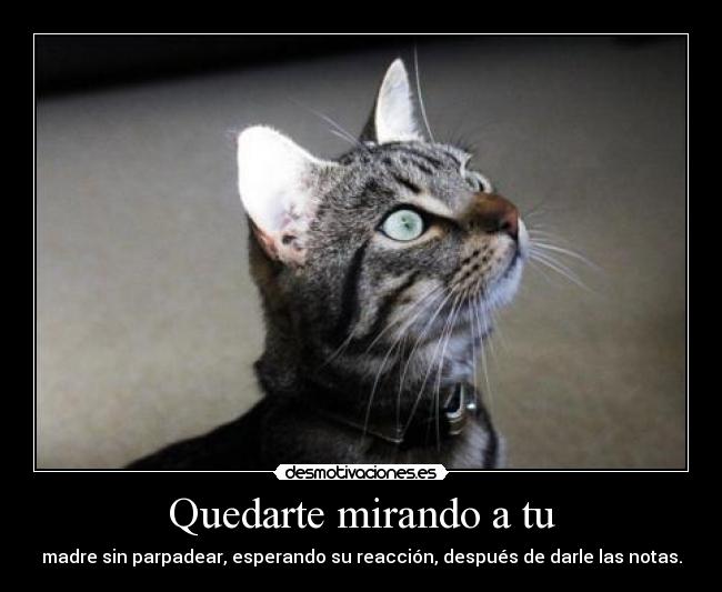 Quedarte mirando a tu - madre sin parpadear, esperando su reacción, después de darle las notas.