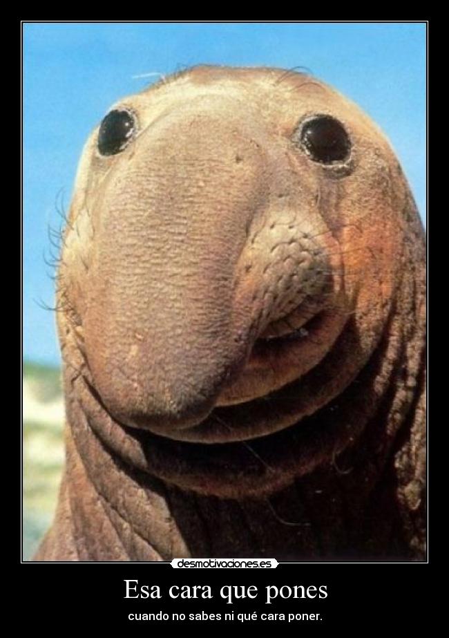 Esa cara que pones -