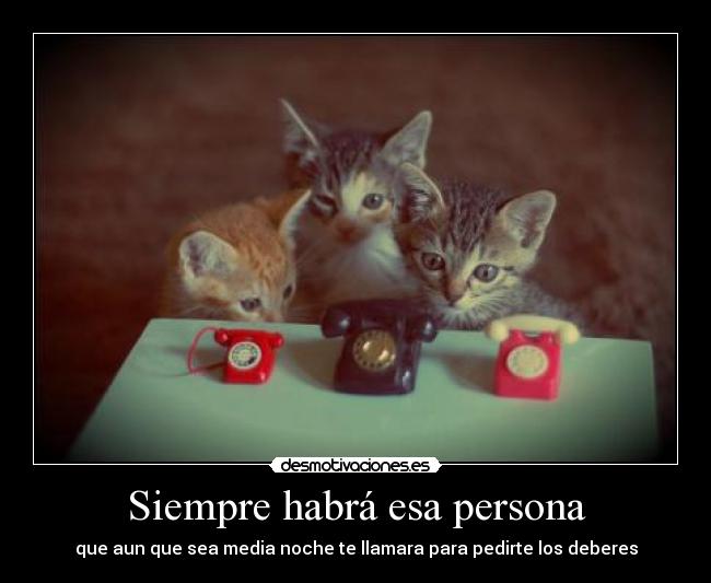 Siempre habrá esa persona - que aun que sea media noche te llamara para pedirte los deberes