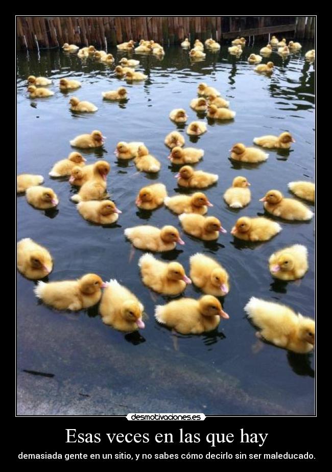 Esas veces en las que hay -