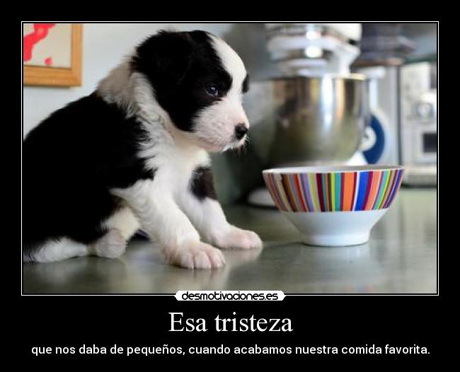 Esa tristeza - que nos daba de pequeños, cuando acabamos nuestra comida favorita.