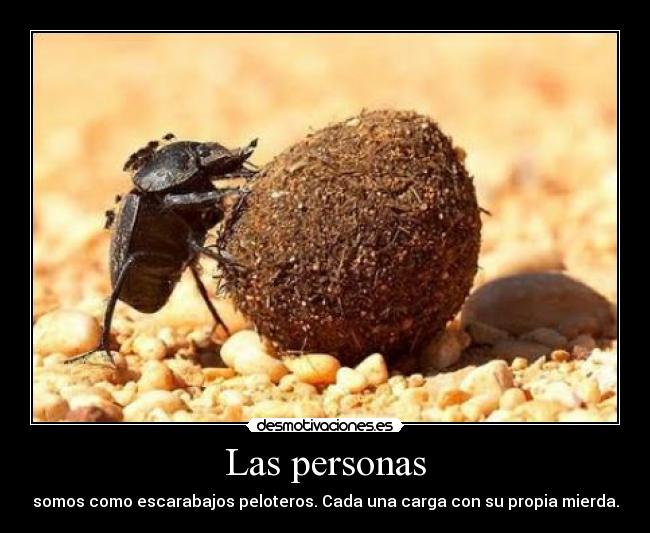 carteles asdfgh maria perez ortega que grandeeee cucaracha cucaracha puede kaminar desmotivaciones