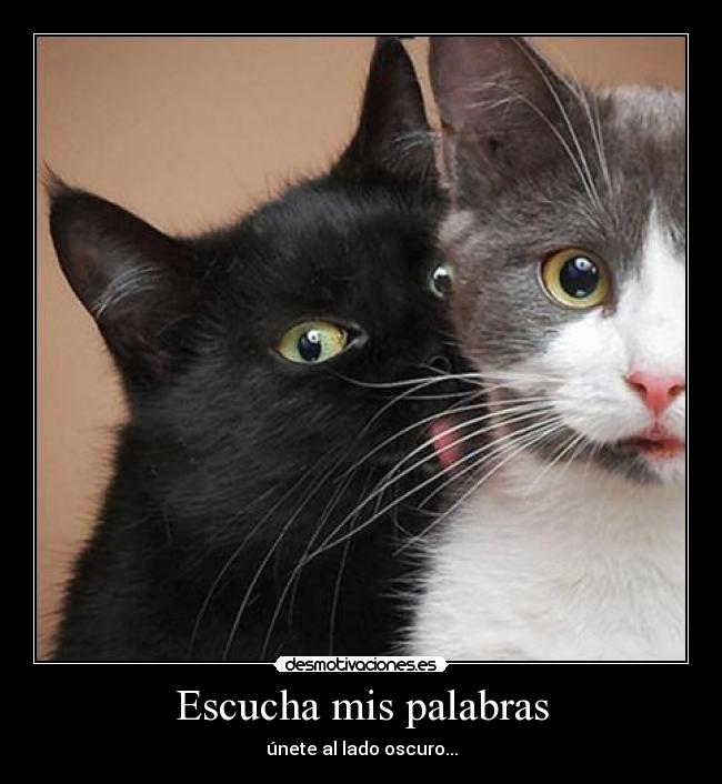 Escucha mis palabras - únete al lado oscuro...