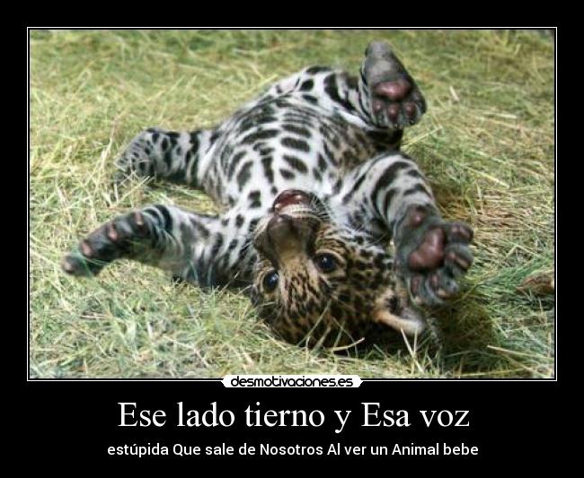 Ese lado tierno y Esa voz -