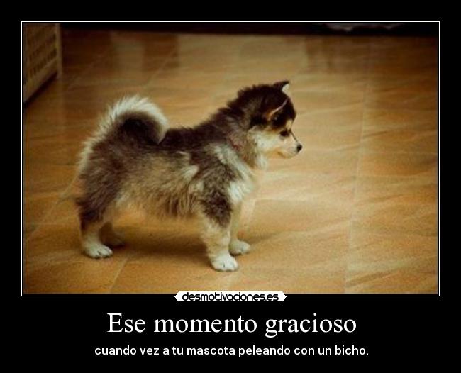 Ese momento gracioso -